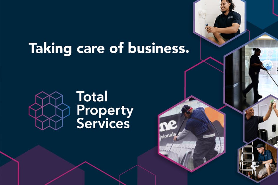 TPS case study large