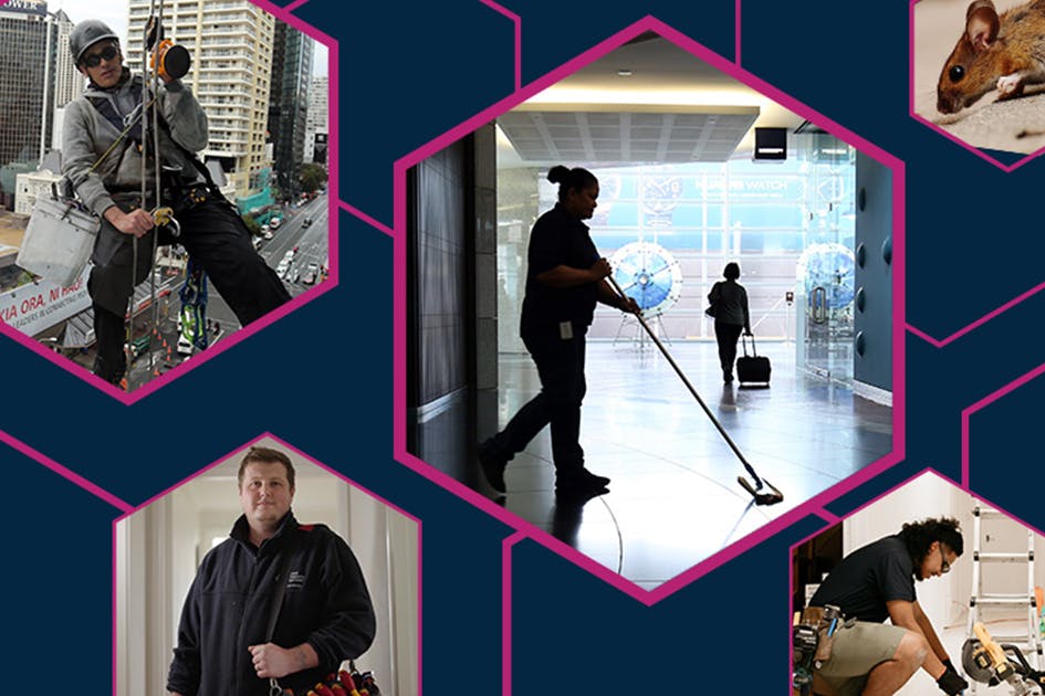 Tps case study feature